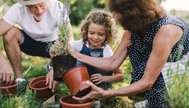 Senior grandparents and granddaughter gardening in the backyard garden